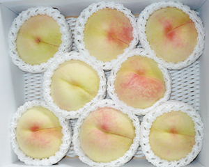 矢掛の宿場まつり