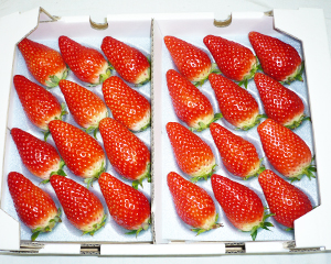 矢掛の宿場まつり