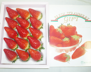 旧矢掛本陣石井家 外観